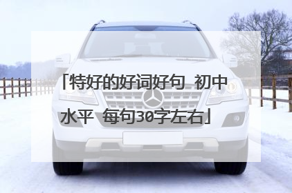 特好的好词好句 初中水平 每句30字左右