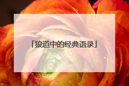 狼道中的经典语录