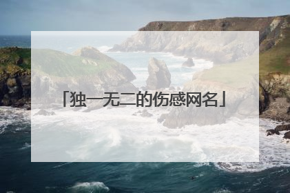 独一无二的伤感网名