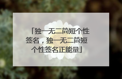 独一无二简短个性签名,独一无二简短个性签名正能量