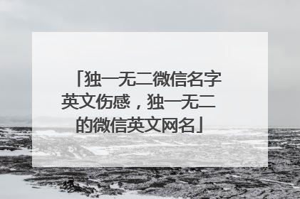 独一无二微信名字英文伤感,独一无二的微信英文网名