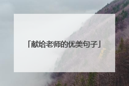 献给老师的优美句子