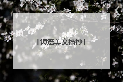 短篇美文摘抄