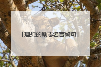 理想的励志名言警句