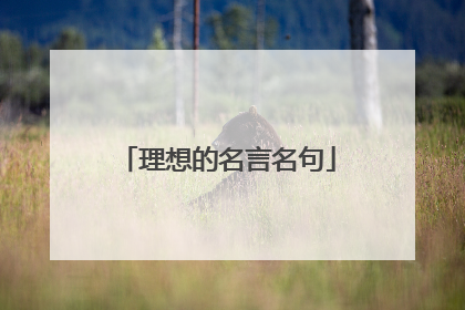 理想的名言名句