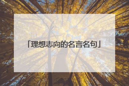 理想志向的名言名句