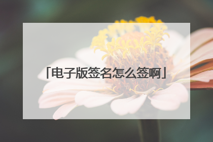 电子版签名怎么签啊