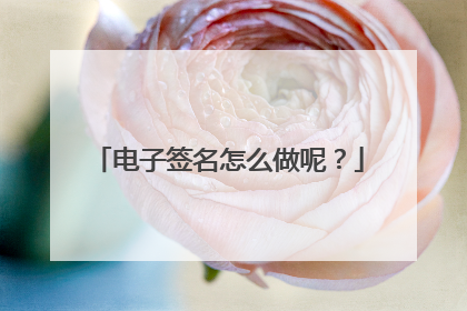 电子签名怎么做呢?