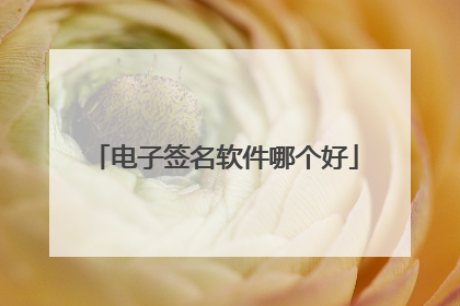 电子签名软件哪个好