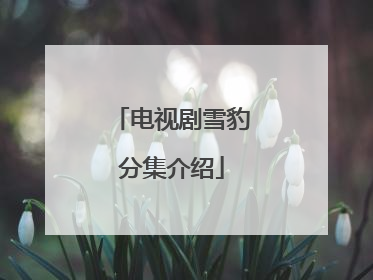 电视剧雪豹分集介绍