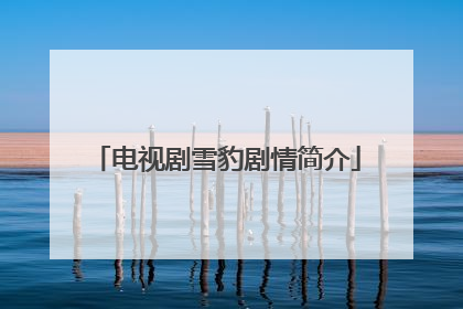 电视剧雪豹剧情简介