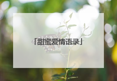 甜蜜爱情语录