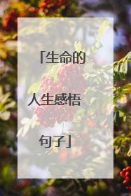 生命的人生感悟句子