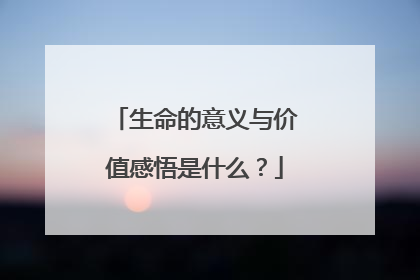 生命的意义与价值感悟是什么?