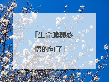 生命脆弱感悟的句子