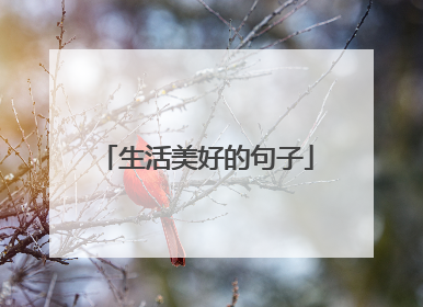 生活美好的句子