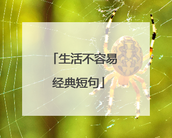 生活不容易经典短句