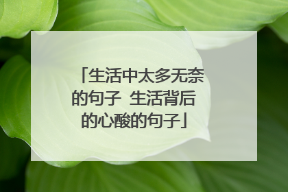 生活中太多无奈的句子 生活背后的心酸的句子