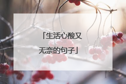 生活心酸又无奈的句子