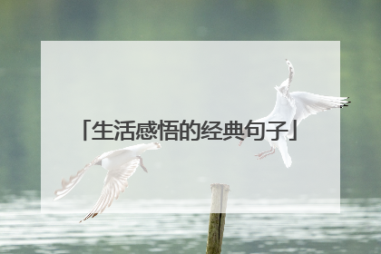 生活感悟的经典句子