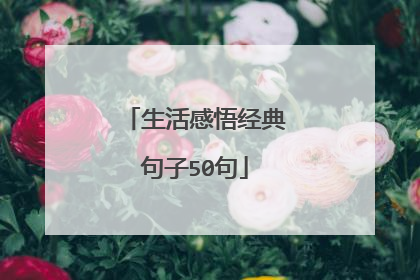 生活感悟经典句子50句