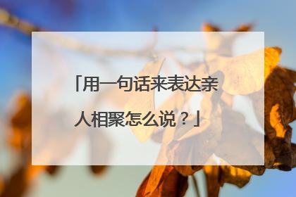用一句话来表达亲人相聚怎么说?