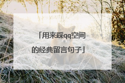 用来踩qq空间的经典留言句子