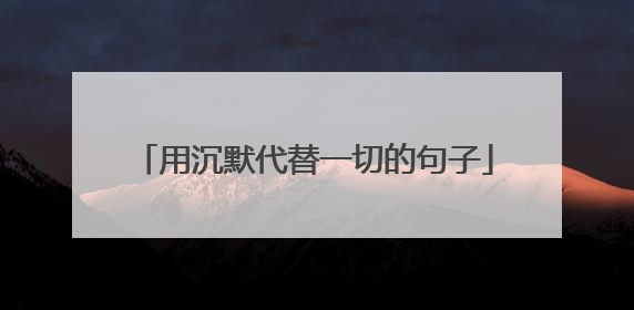 用沉默代替一切的句子