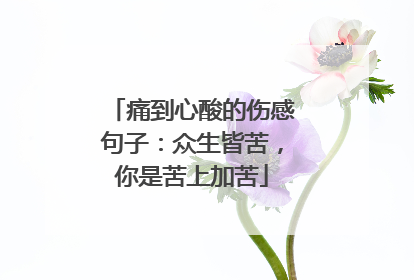 痛到心酸的伤感句子:众生皆苦,你是苦上加苦