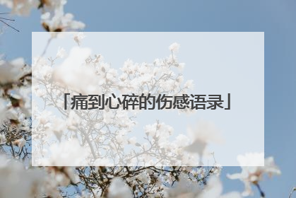 痛到心碎的伤感语录