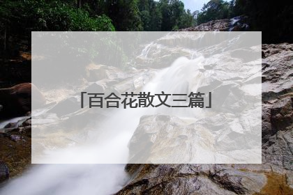 百合花散文三篇