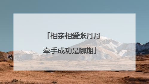 相亲相爱张丹丹牵手成功是哪期