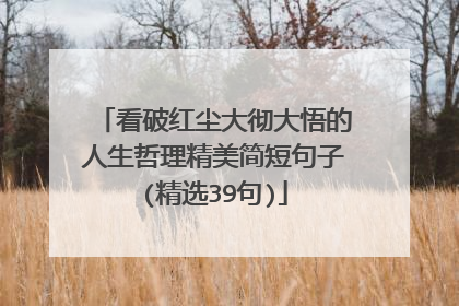 看破红尘大彻大悟的人生哲理精美简短句子(精选39句)