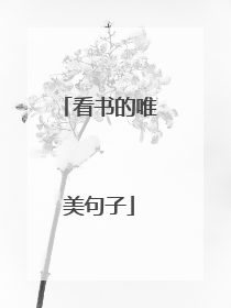 看书的唯美句子