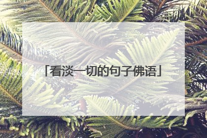 看淡一切的句子佛语