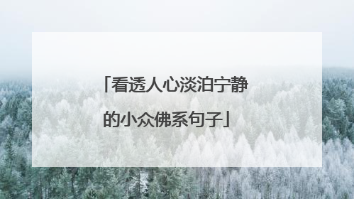 看透人心淡泊宁静的小众佛系句子