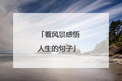 看风景感悟人生的句子