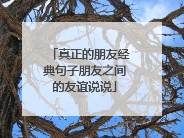 真正的朋友经典句子朋友之间的友谊说说