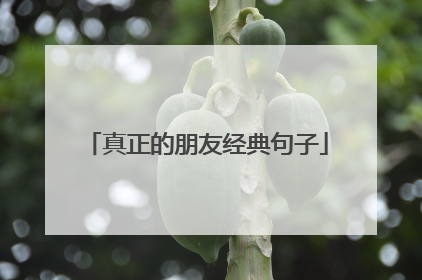 真正的朋友经典句子