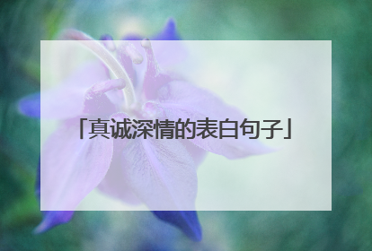 真诚深情的表白句子