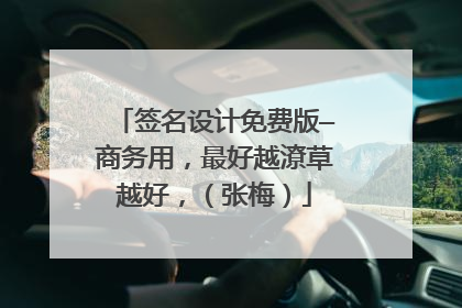 签名设计免费版—商务用,最好越潦草越好,(张梅)