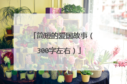 简短的爱国故事(300字左右)