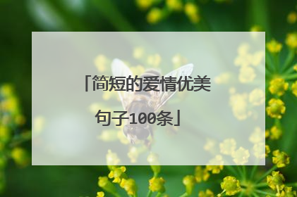 简短的爱情优美句子100条