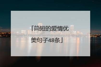 简短的爱情优美句子48条