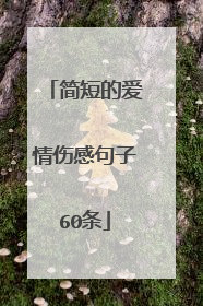 简短的爱情伤感句子60条