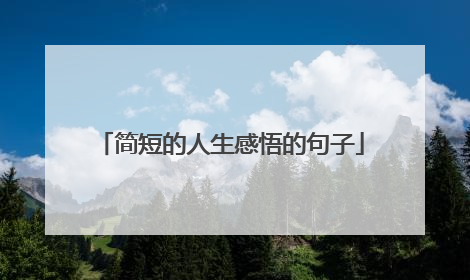 简短的人生感悟的句子