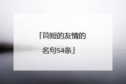 简短的友情的名句54条