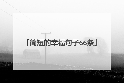 简短的幸福句子66条