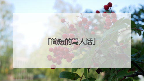 简短的骂人话