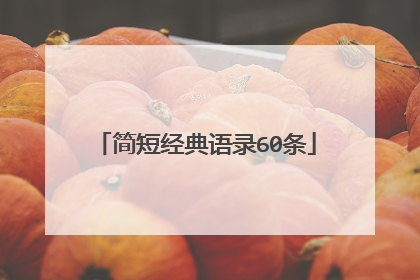 简短经典语录60条